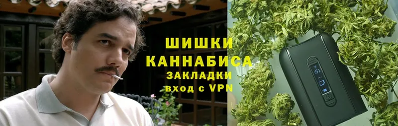 Конопля OG Kush  закладка  Кировск 